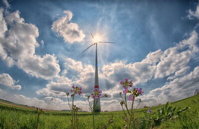 Einzelne Windkraftwerk mit Blumen