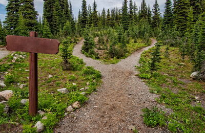 Nature trail with two because of