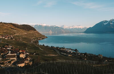 Landschaft mit See, Berge und Weingut